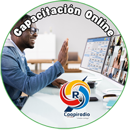 Capacitación Online